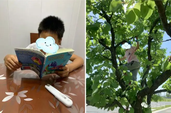 哪里可以学习到高级的篮球战术训练方法?_0